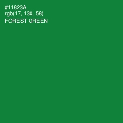 #11823A - Forest Green Color Image