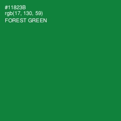 #11823B - Forest Green Color Image