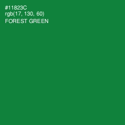 #11823C - Forest Green Color Image