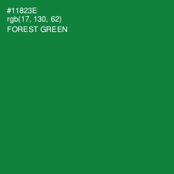 #11823E - Forest Green Color Image