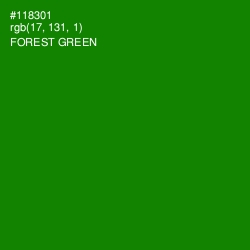 #118301 - Forest Green Color Image
