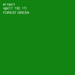 #118411 - Forest Green Color Image