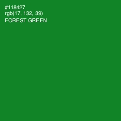 #118427 - Forest Green Color Image