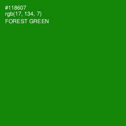 #118607 - Forest Green Color Image