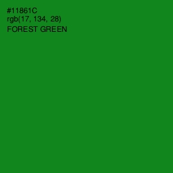 #11861C - Forest Green Color Image