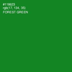 #118623 - Forest Green Color Image