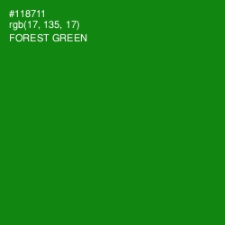 #118711 - Forest Green Color Image