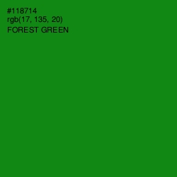 #118714 - Forest Green Color Image