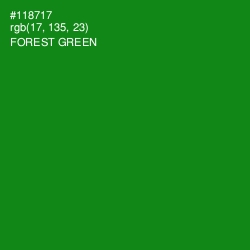 #118717 - Forest Green Color Image