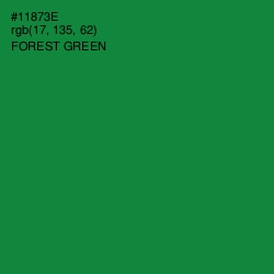 #11873E - Forest Green Color Image