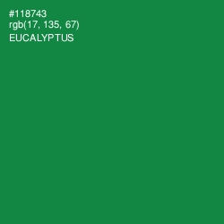 #118743 - Eucalyptus Color Image