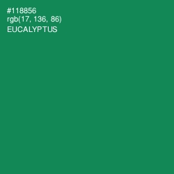 #118856 - Eucalyptus Color Image