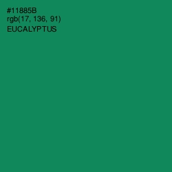 #11885B - Eucalyptus Color Image