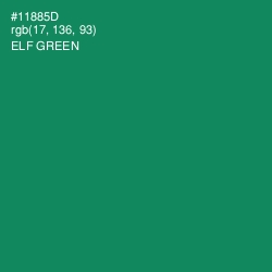 #11885D - Elf Green Color Image