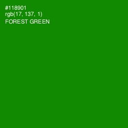 #118901 - Forest Green Color Image