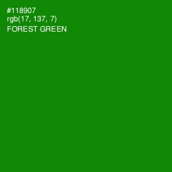 #118907 - Forest Green Color Image