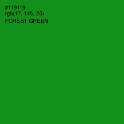 #119119 - Forest Green Color Image