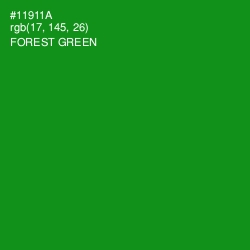 #11911A - Forest Green Color Image