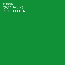 #119137 - Forest Green Color Image