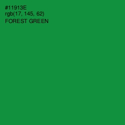 #11913E - Forest Green Color Image