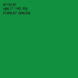 #11913F - Forest Green Color Image