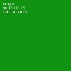 #119311 - Forest Green Color Image