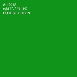 #11941A - Forest Green Color Image