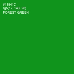 #11941C - Forest Green Color Image