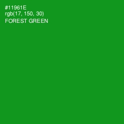 #11961E - Forest Green Color Image