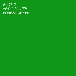 #119717 - Forest Green Color Image