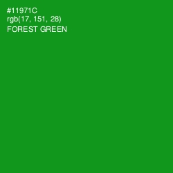 #11971C - Forest Green Color Image