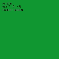 #119731 - Forest Green Color Image