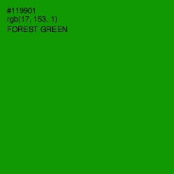 #119901 - Forest Green Color Image