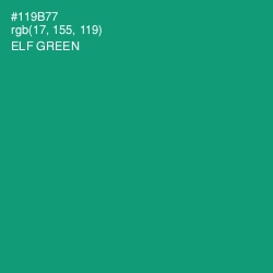 #119B77 - Elf Green Color Image