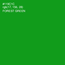 #119C1C - Forest Green Color Image