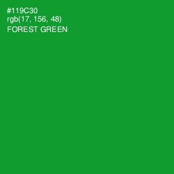 #119C30 - Forest Green Color Image