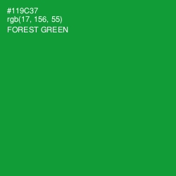 #119C37 - Forest Green Color Image