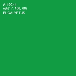 #119C44 - Eucalyptus Color Image