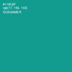 #119C8F - Gossamer Color Image