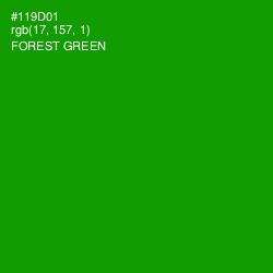 #119D01 - Forest Green Color Image