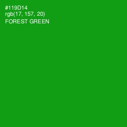#119D14 - Forest Green Color Image
