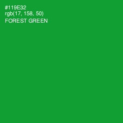 #119E32 - Forest Green Color Image