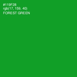 #119F28 - Forest Green Color Image