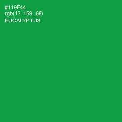 #119F44 - Eucalyptus Color Image