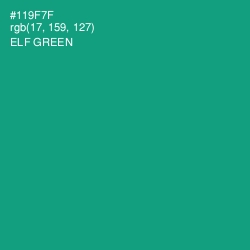 #119F7F - Elf Green Color Image