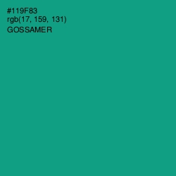 #119F83 - Gossamer Color Image