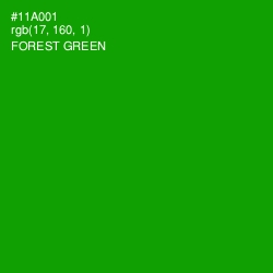 #11A001 - Forest Green Color Image