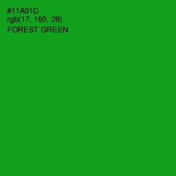 #11A01C - Forest Green Color Image