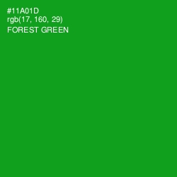 #11A01D - Forest Green Color Image