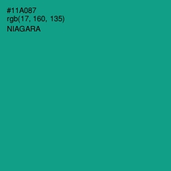 #11A087 - Niagara Color Image